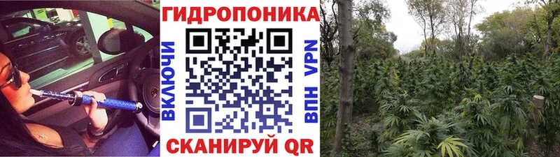Купить наркоту Заринск СОЛЬ  Галлюциногенные грибы  COCAIN  Кодеин  Канабис 