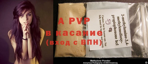 сатива Белокуриха