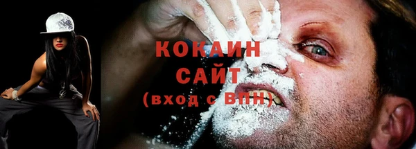 сатива Белокуриха