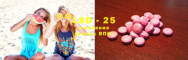 сатива Белокуриха